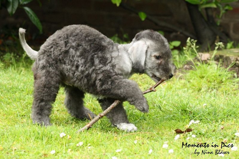 Antares 2009-07-12 (6).JPG